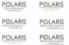 Polaris Wealth Management Logo Concept